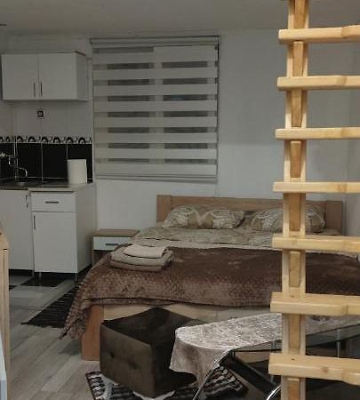 Small Apartment Private Bathroom Strong Wi-Fi ベオグラード エクステリア 写真