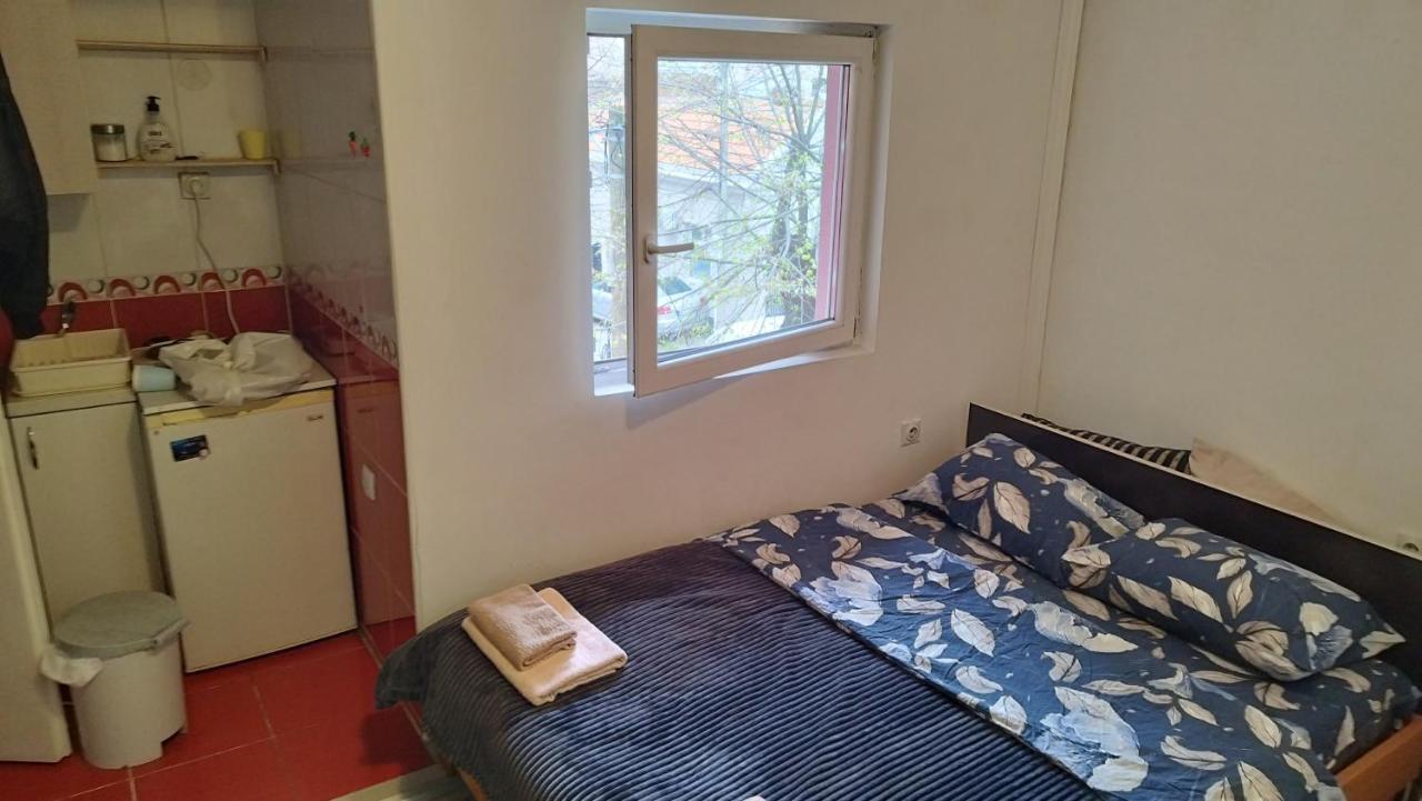 Small Apartment Private Bathroom Strong Wi-Fi ベオグラード エクステリア 写真
